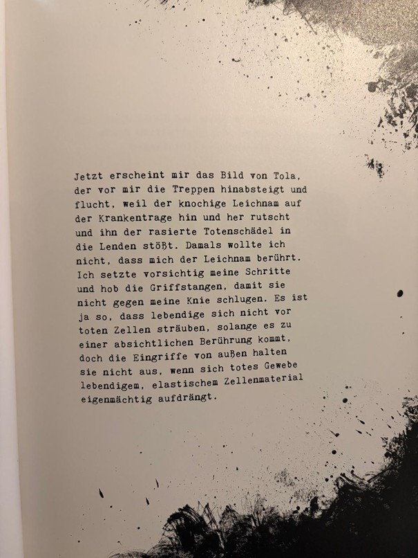 Manche Seiten sind in diesem Essaystil gestaltet © Schaltzeit Verlag